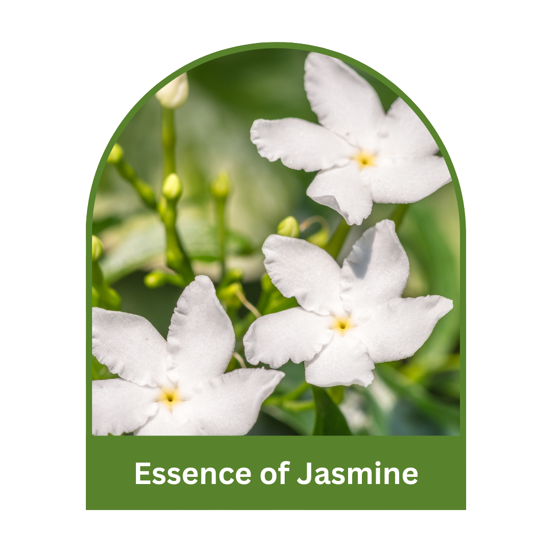 Essense of Jasmine Soap Bar 10ml for Hotels & Spa's